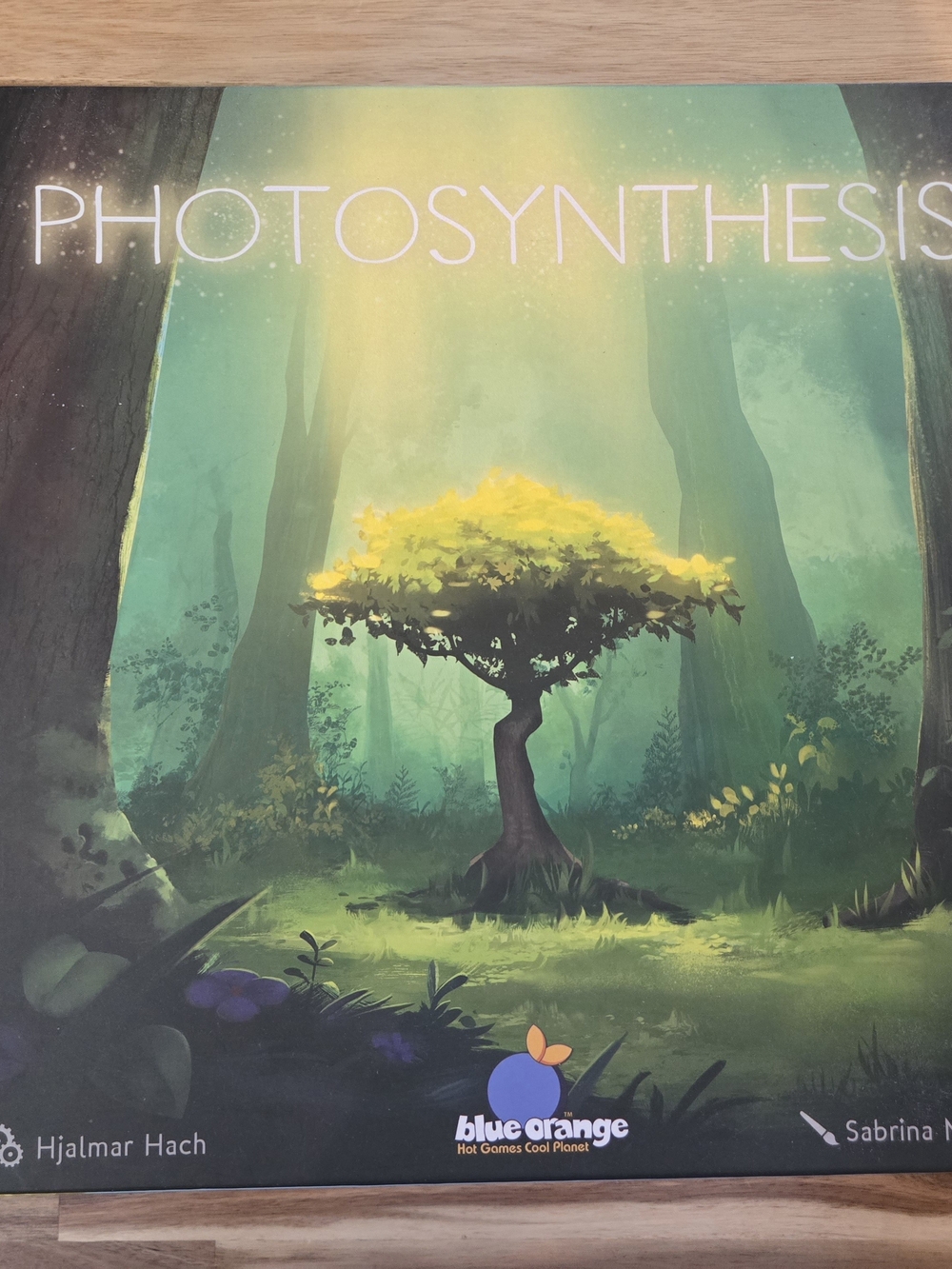 Photosynthesis Board Game by - Green & Yellow